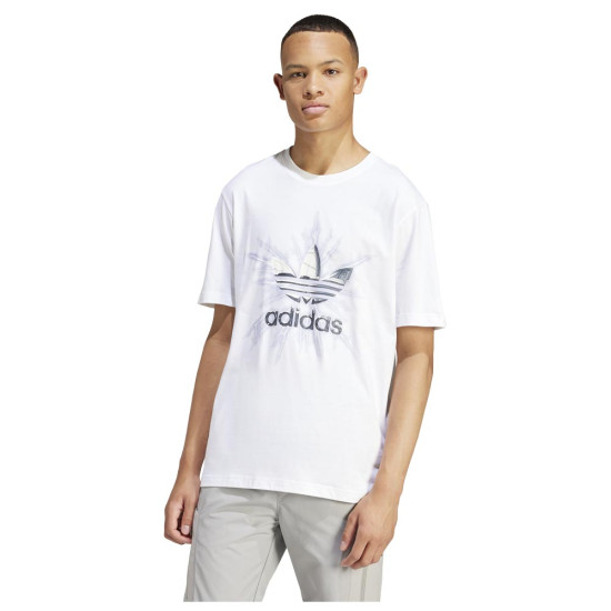 Adidas Ανδρική κοντομάνικη μπλούζα Graphic SS Tee